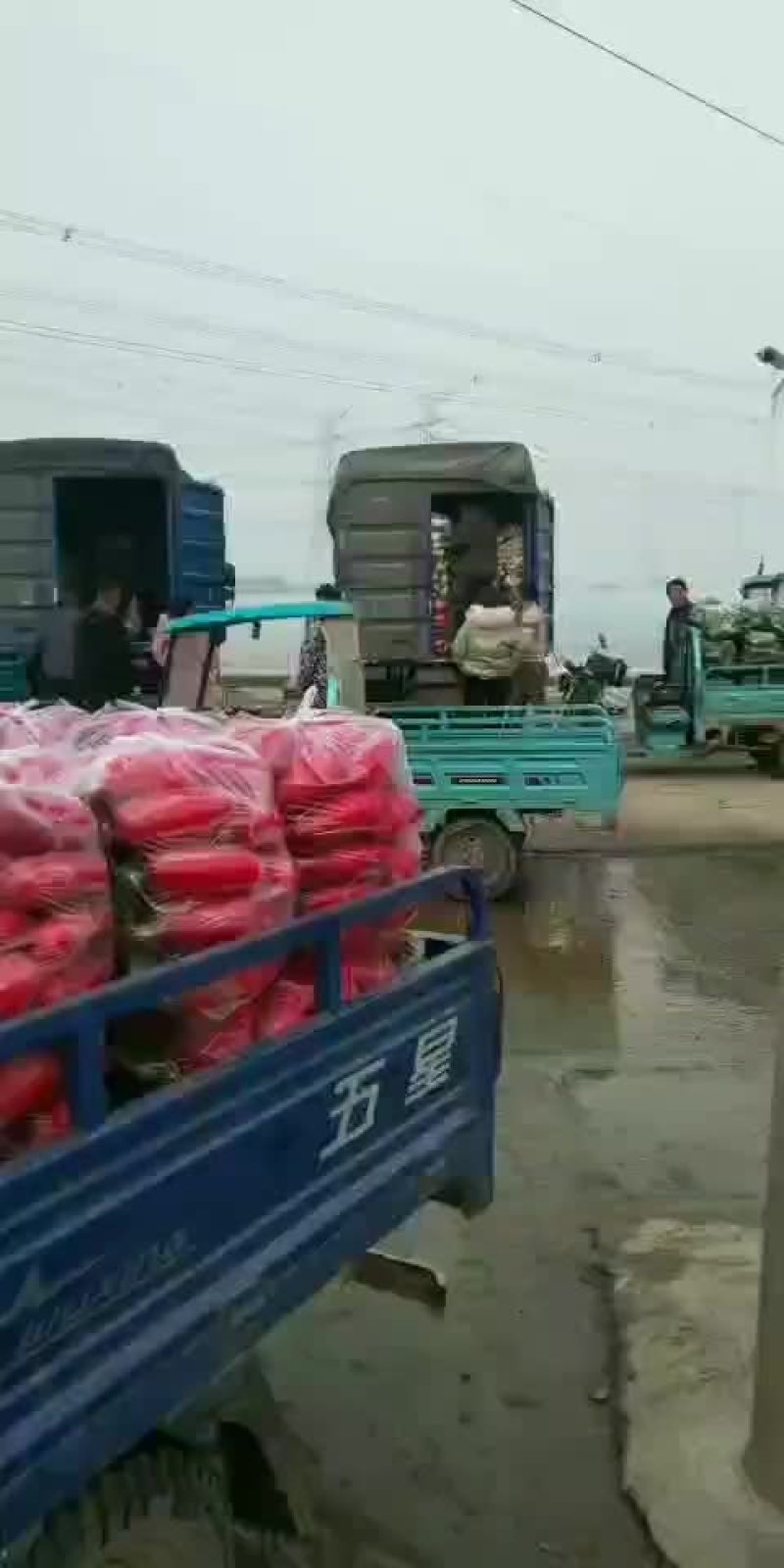 需要的请与我联系