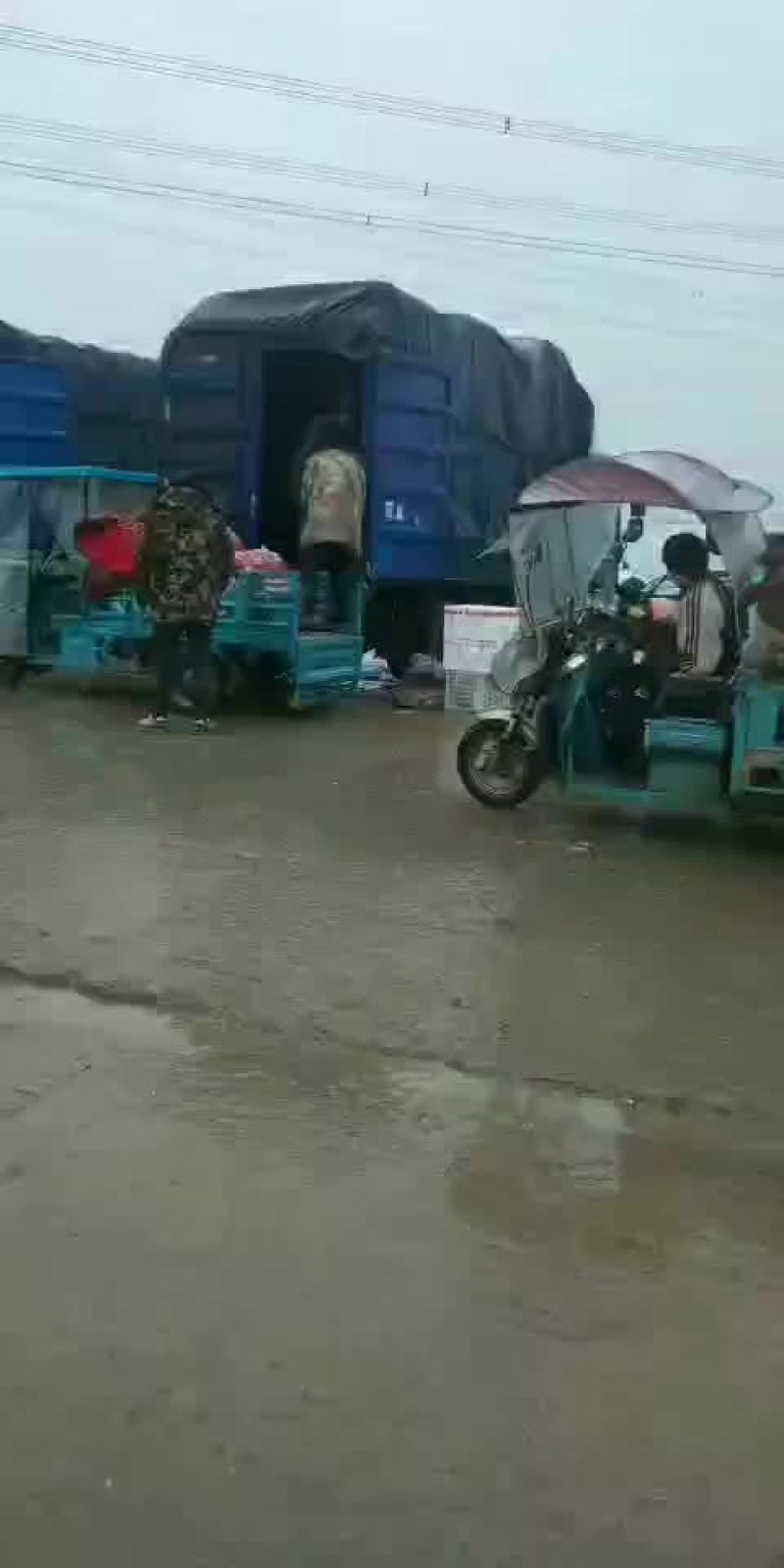 需要的请与我联系