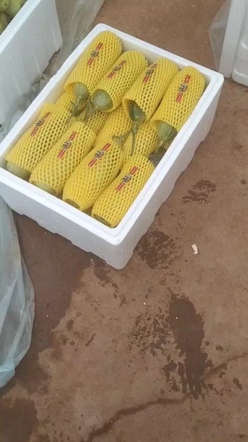 甜瓜