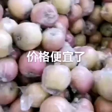 冠县红富士