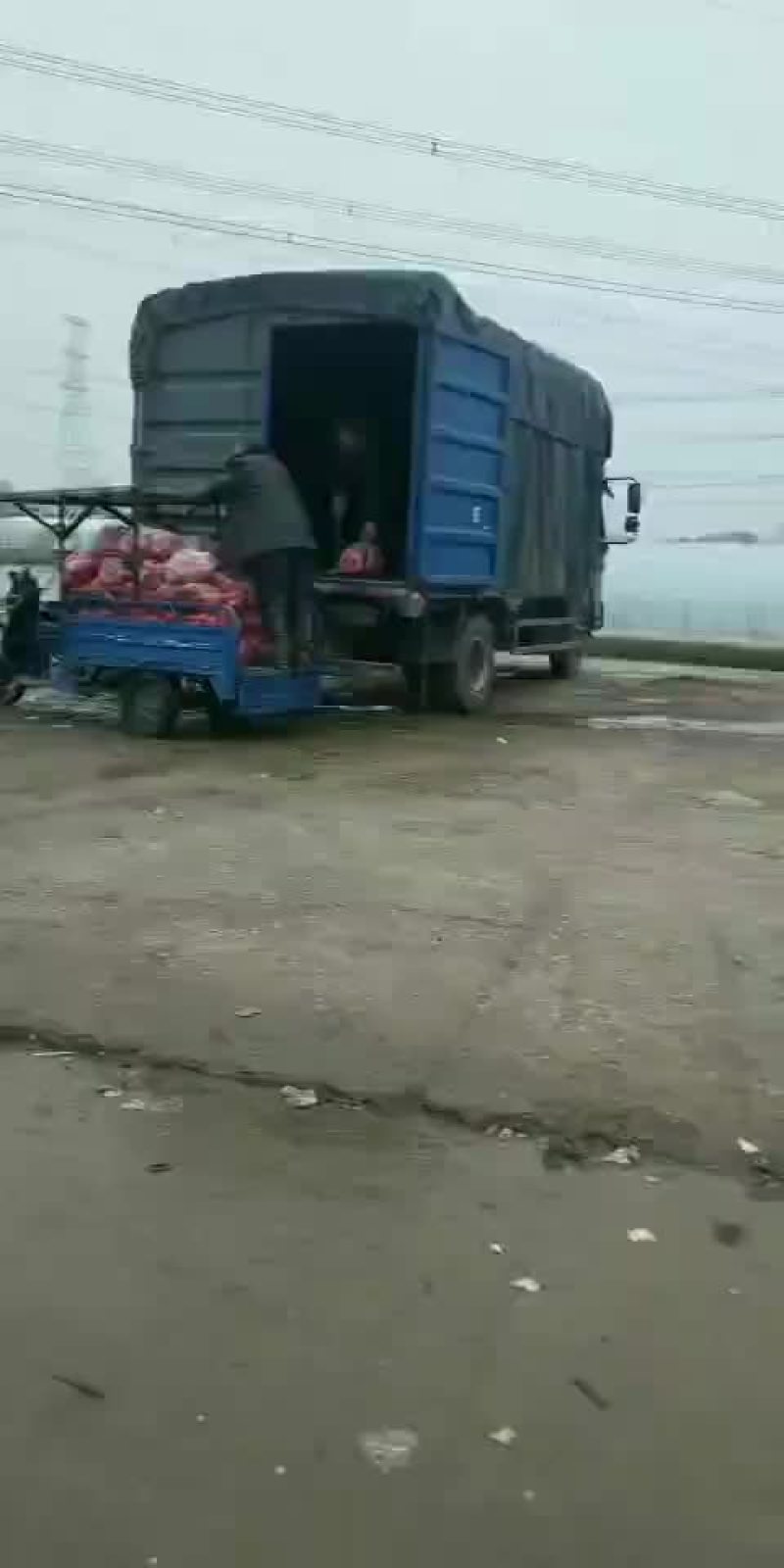 需要的请与我联系