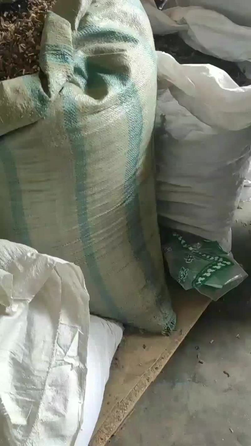 功劳叶常年经营冷背中药材地产中药材！