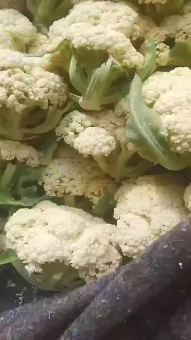 白花，马上涨价