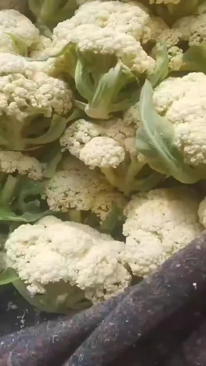 白花，马上涨价