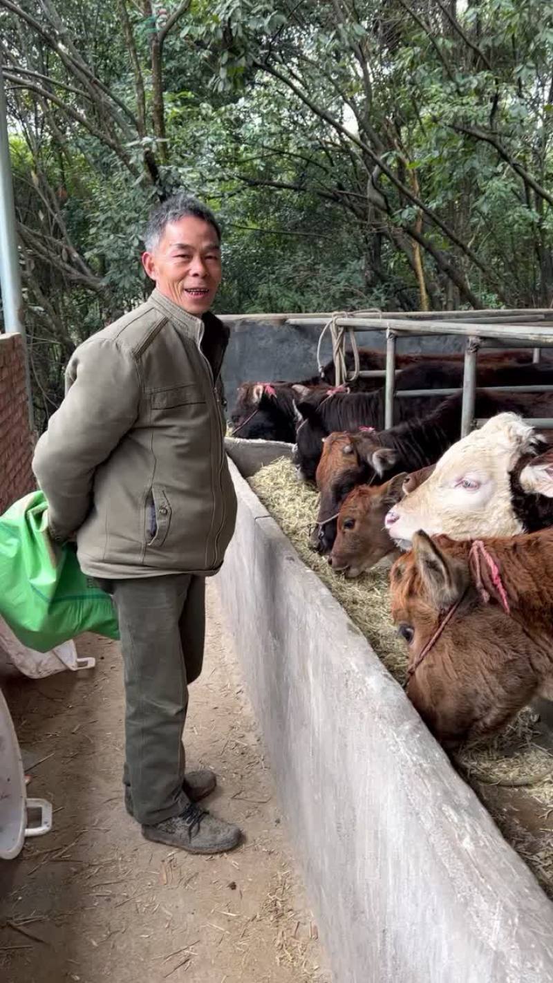 广安门医院黄牛加号挂号黄牛-广安门医院黄牛加号挂号黄牛多少钱 