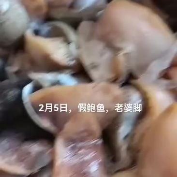 假鲍鱼