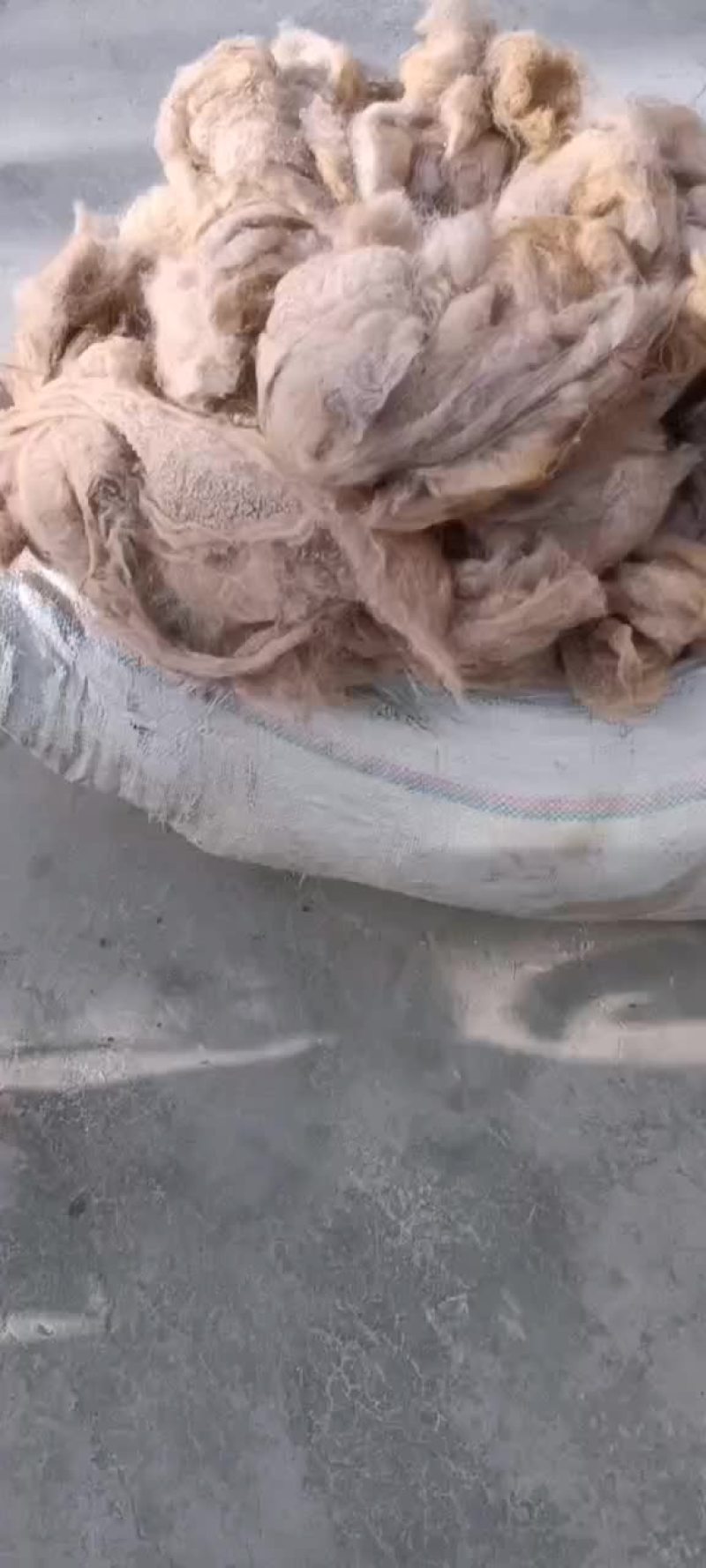 骆驼毛，大量出售