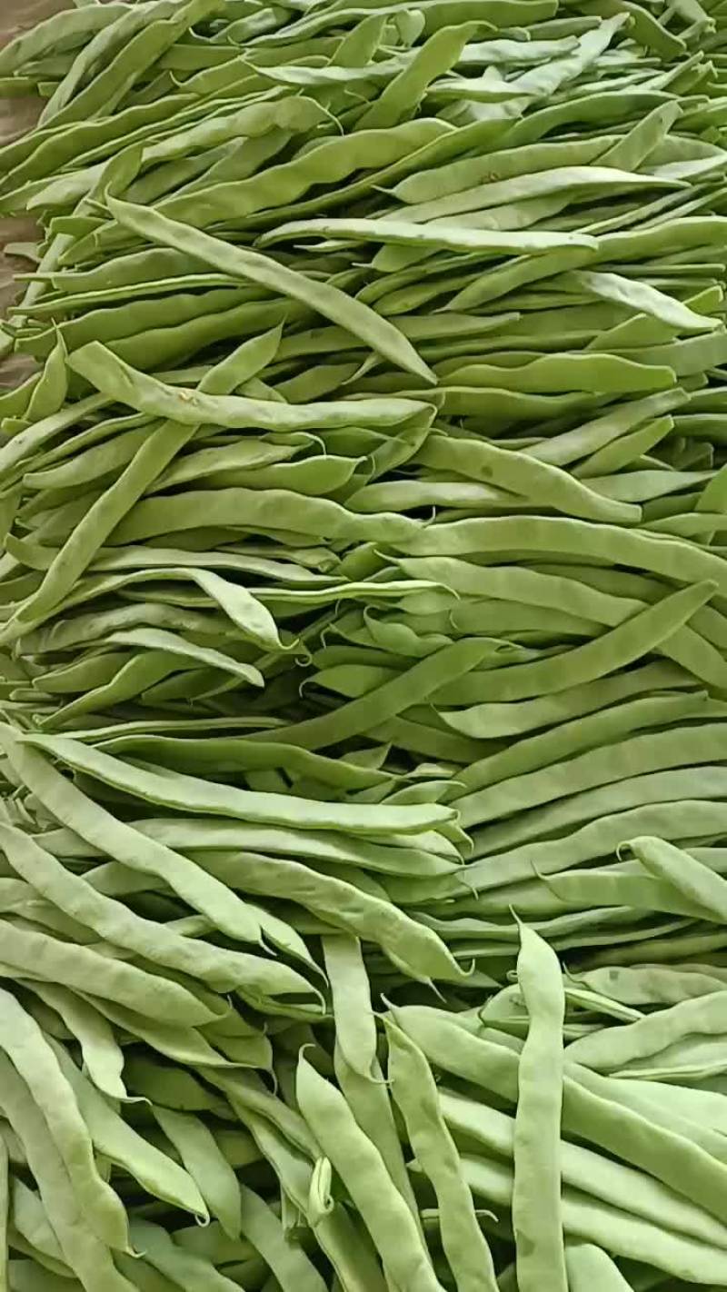 精品扁豆