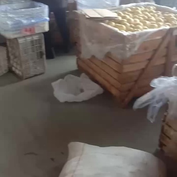 闷袋王琳