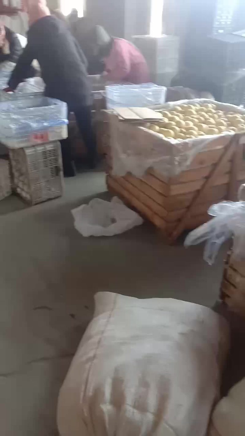 闷袋王琳