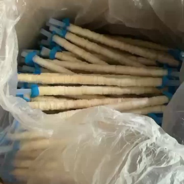 天然干套，干肠衣，快速扭结
