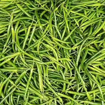 精品线椒