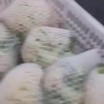 花菜大量产地直销