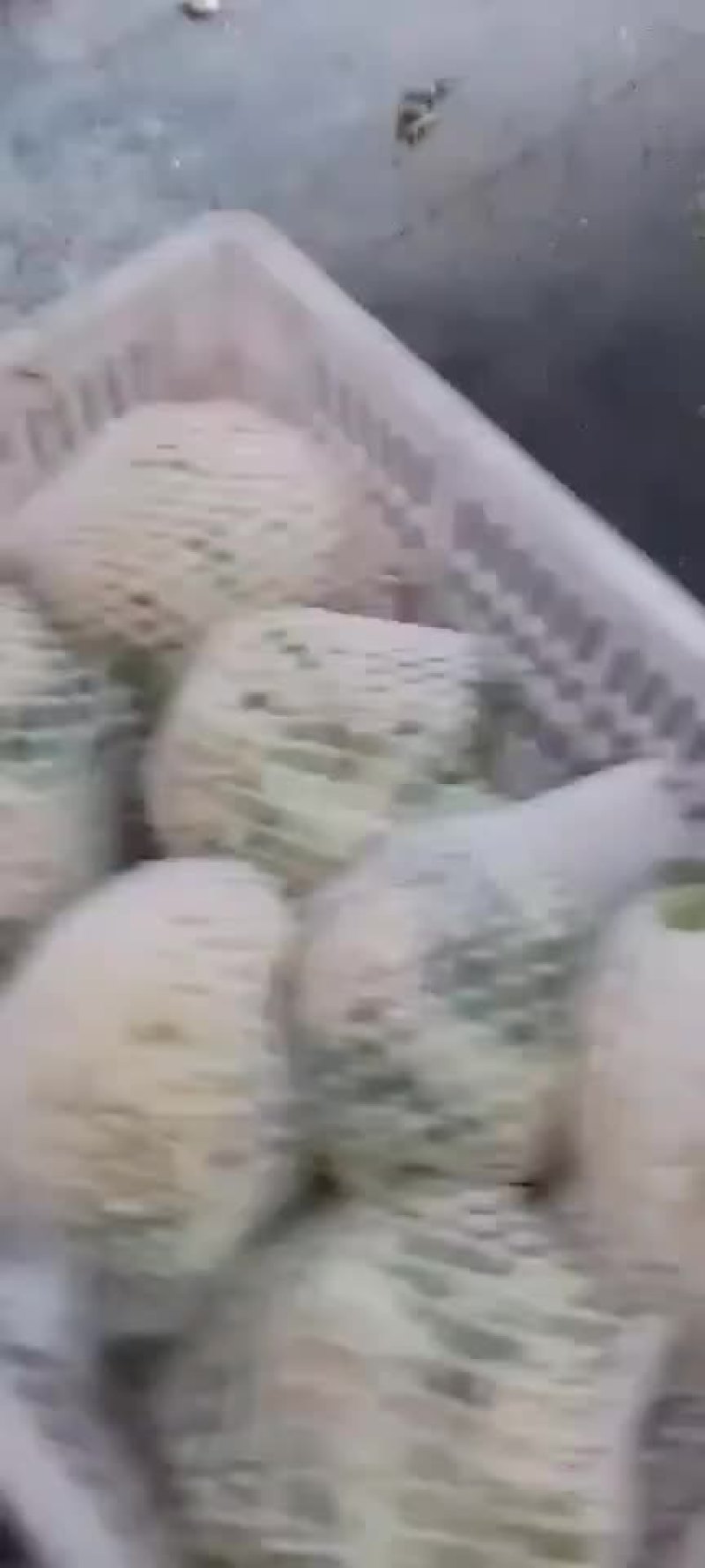 花菜大量产地直销