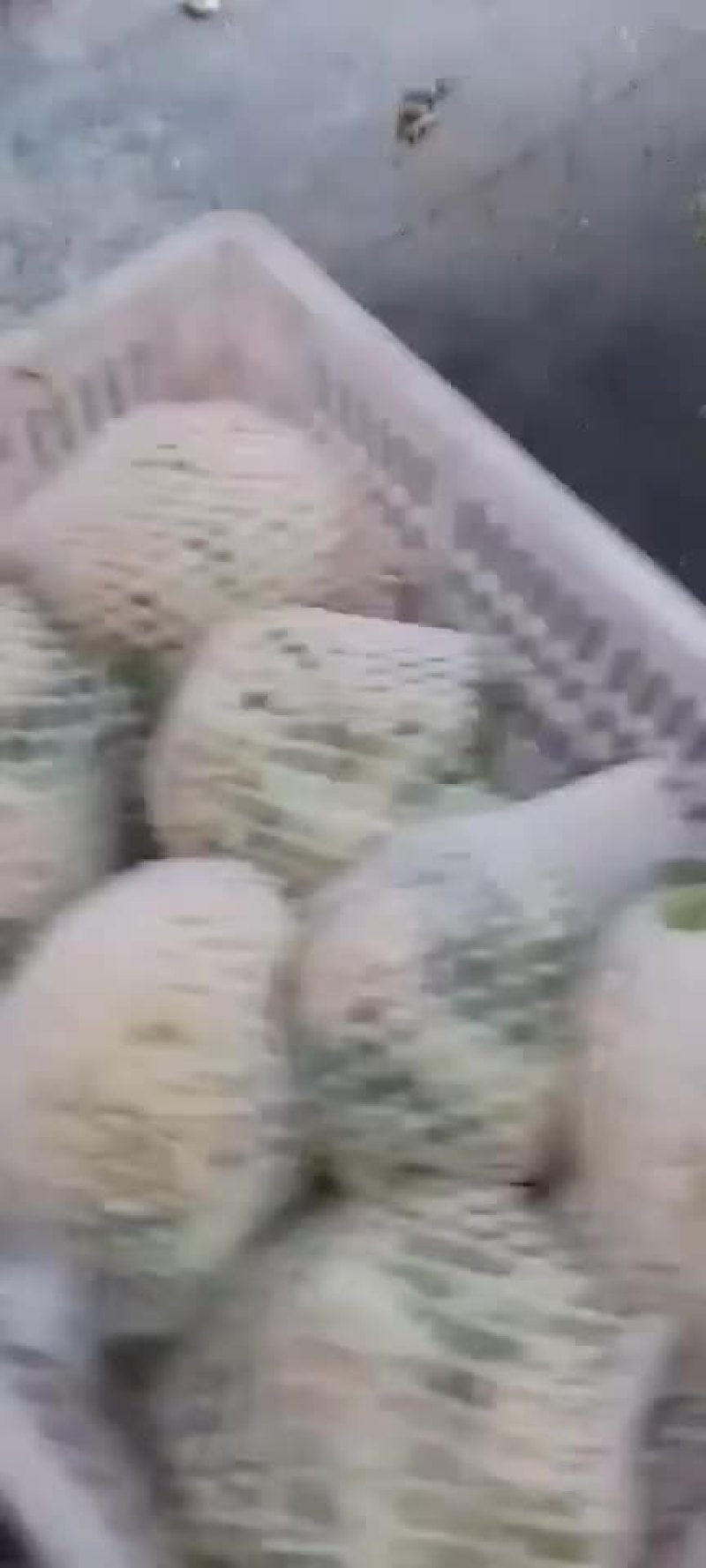 花菜大量产地直销
