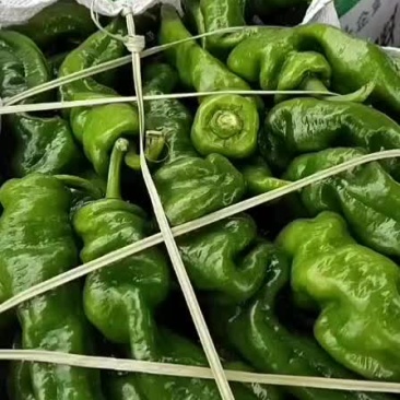 通货螺丝椒
