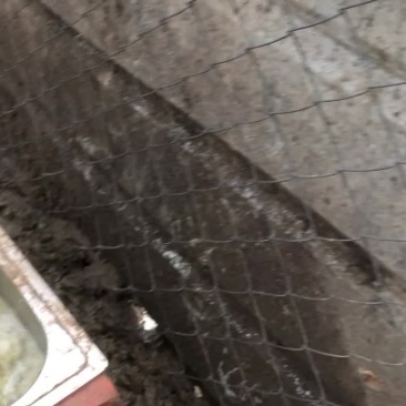 藏香猪肉