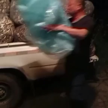 榛蘑