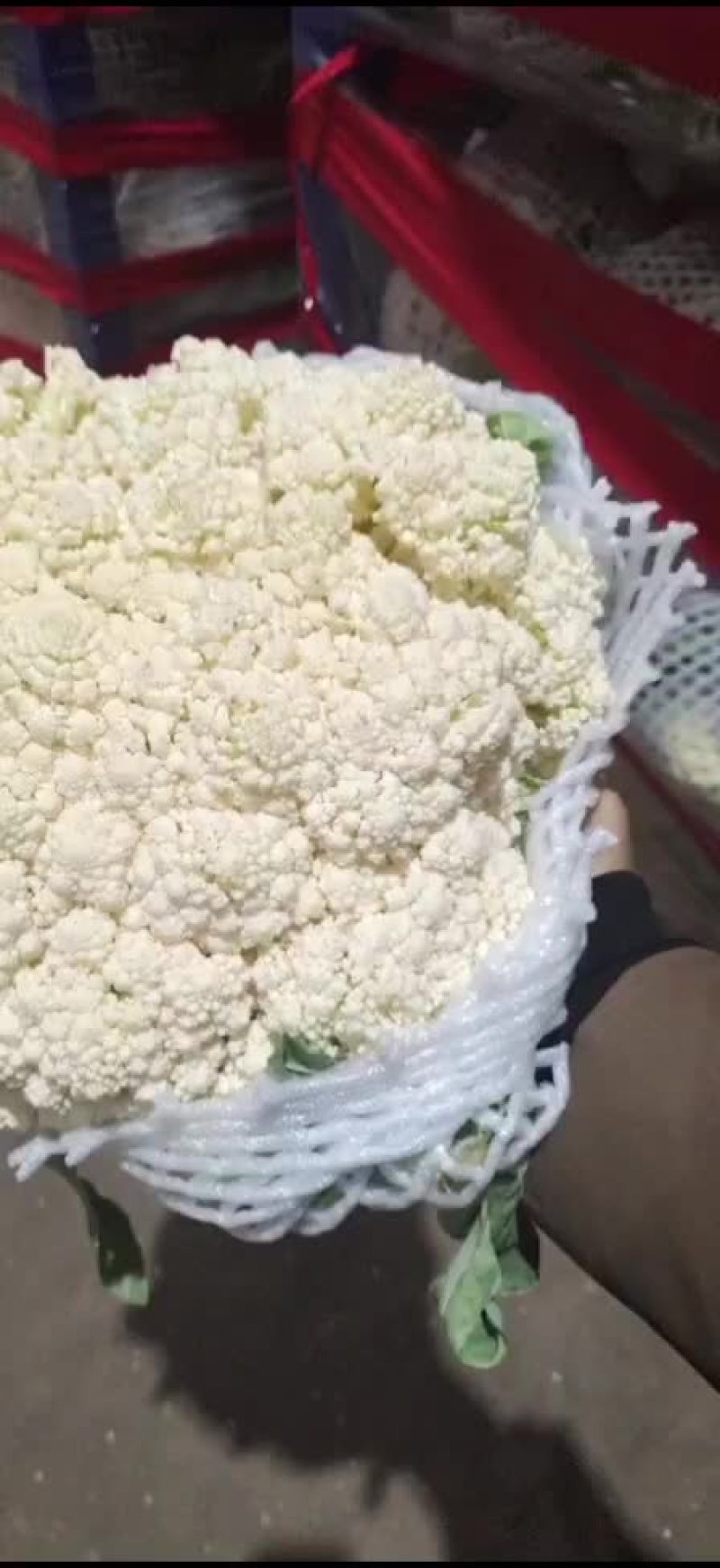 有机花