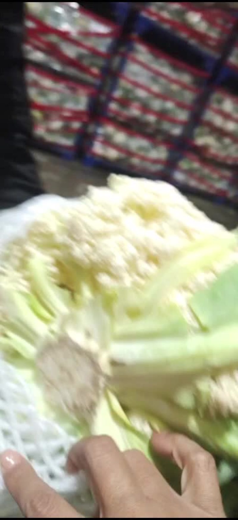 有机花