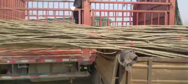 诚信做事，合作共赢