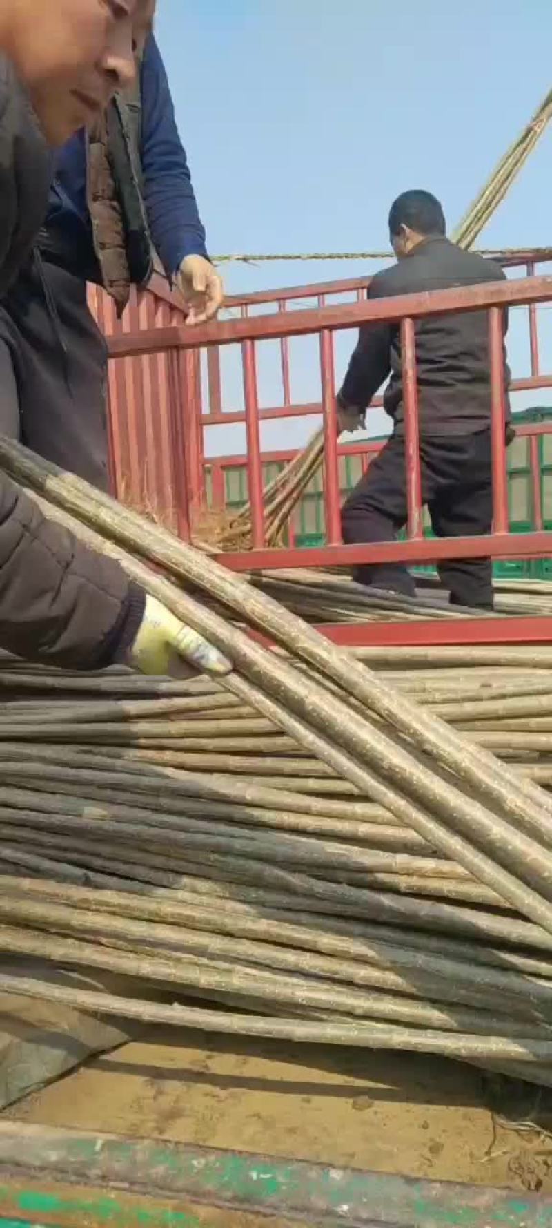 诚信做事，合作共赢
