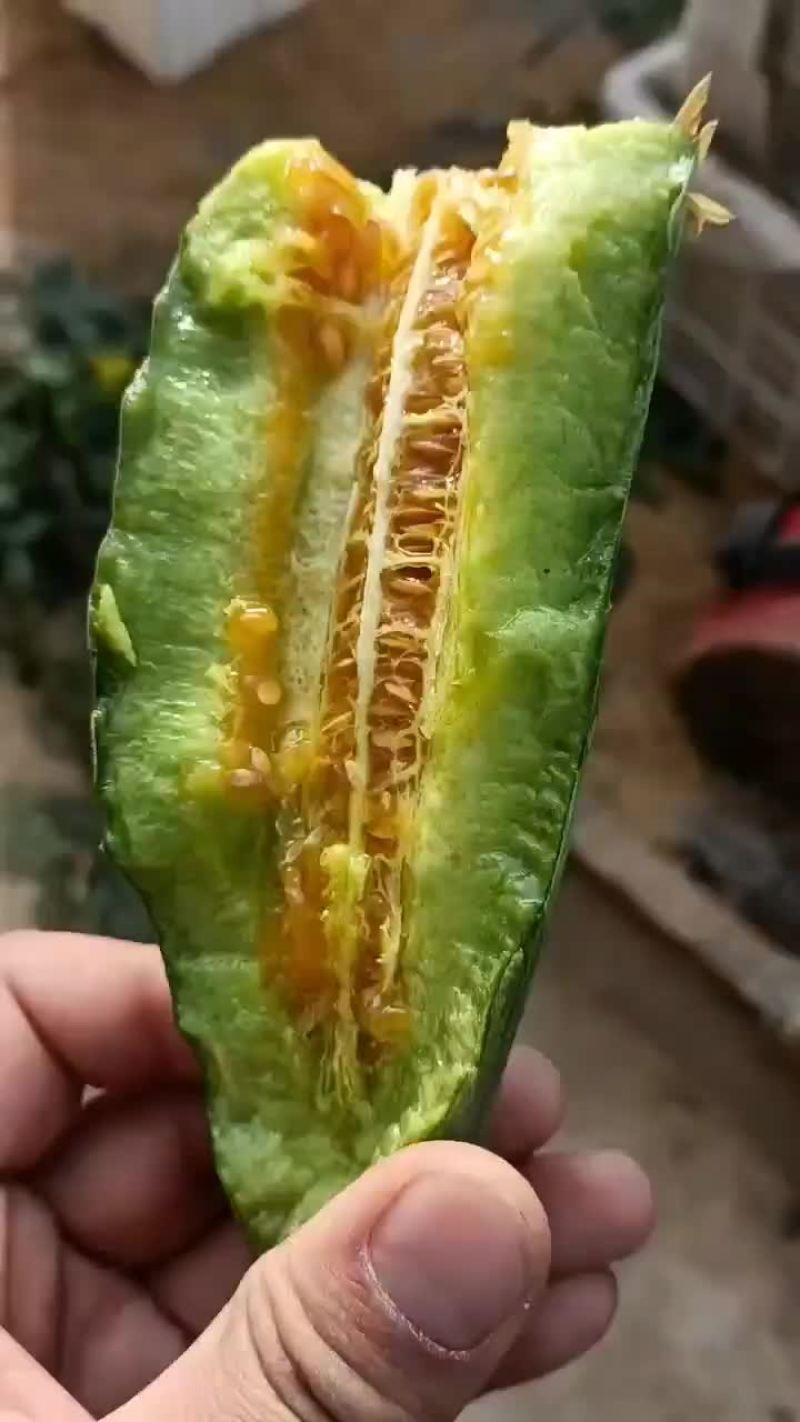 羊角蜜