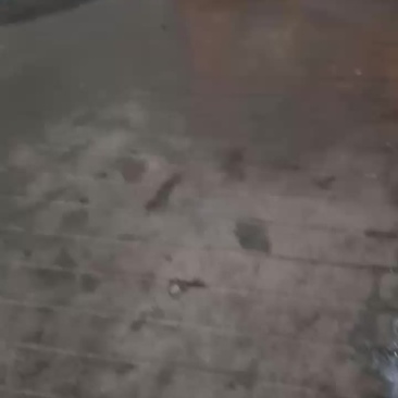 西兰花大量共应需要连系