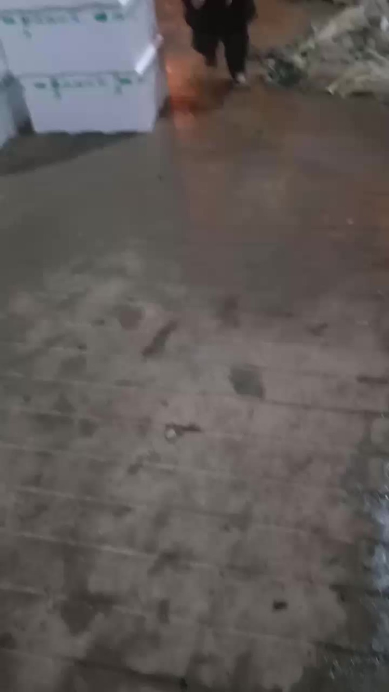 西兰花大量共应需要连系