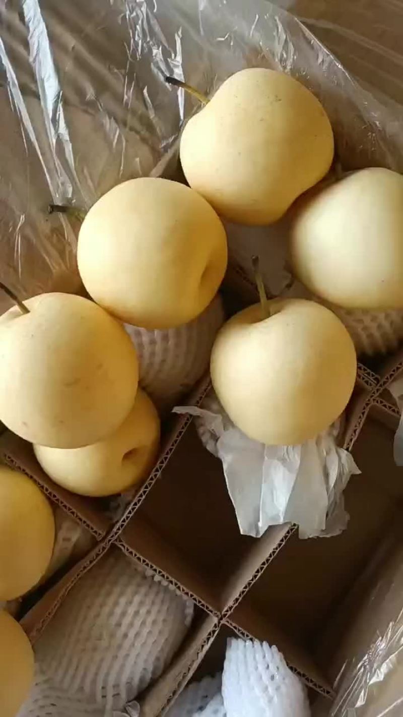 框装皇冠梨，海量货源，对接电商平台，超市市场