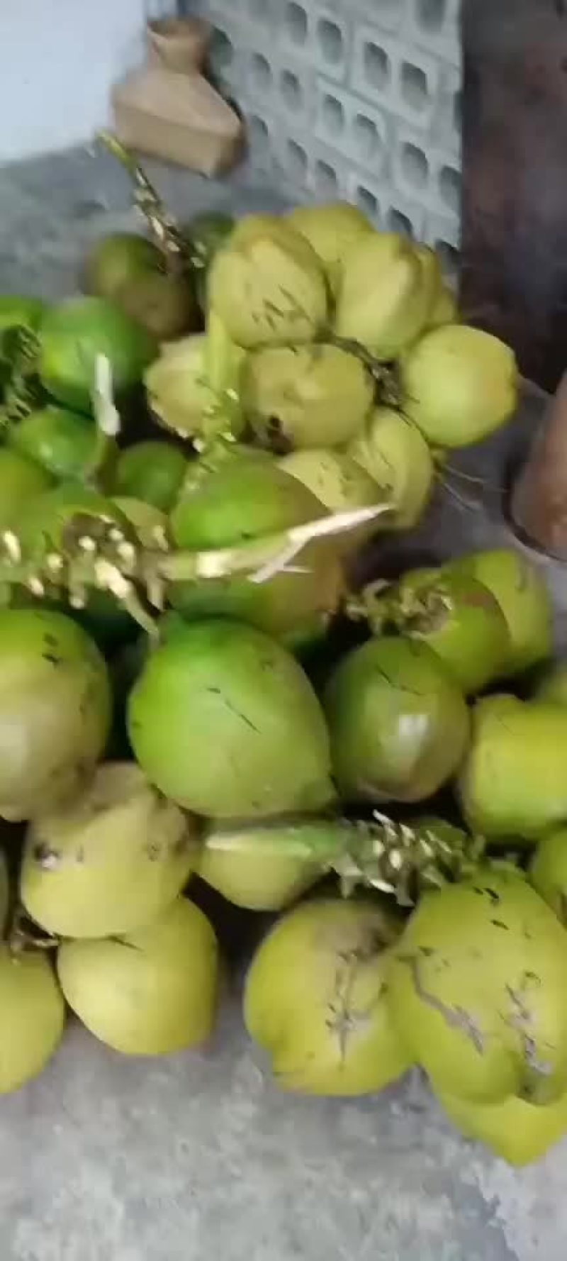 天然椰子水不添加任何济
