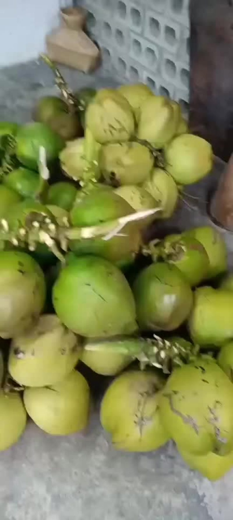 天然椰子水