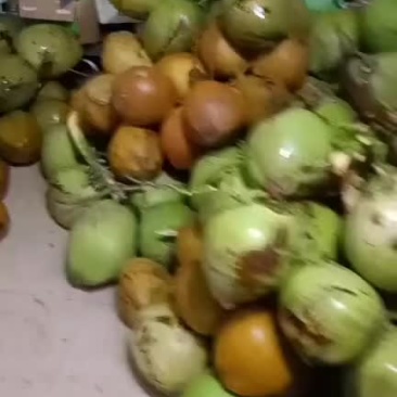 天然椰子水