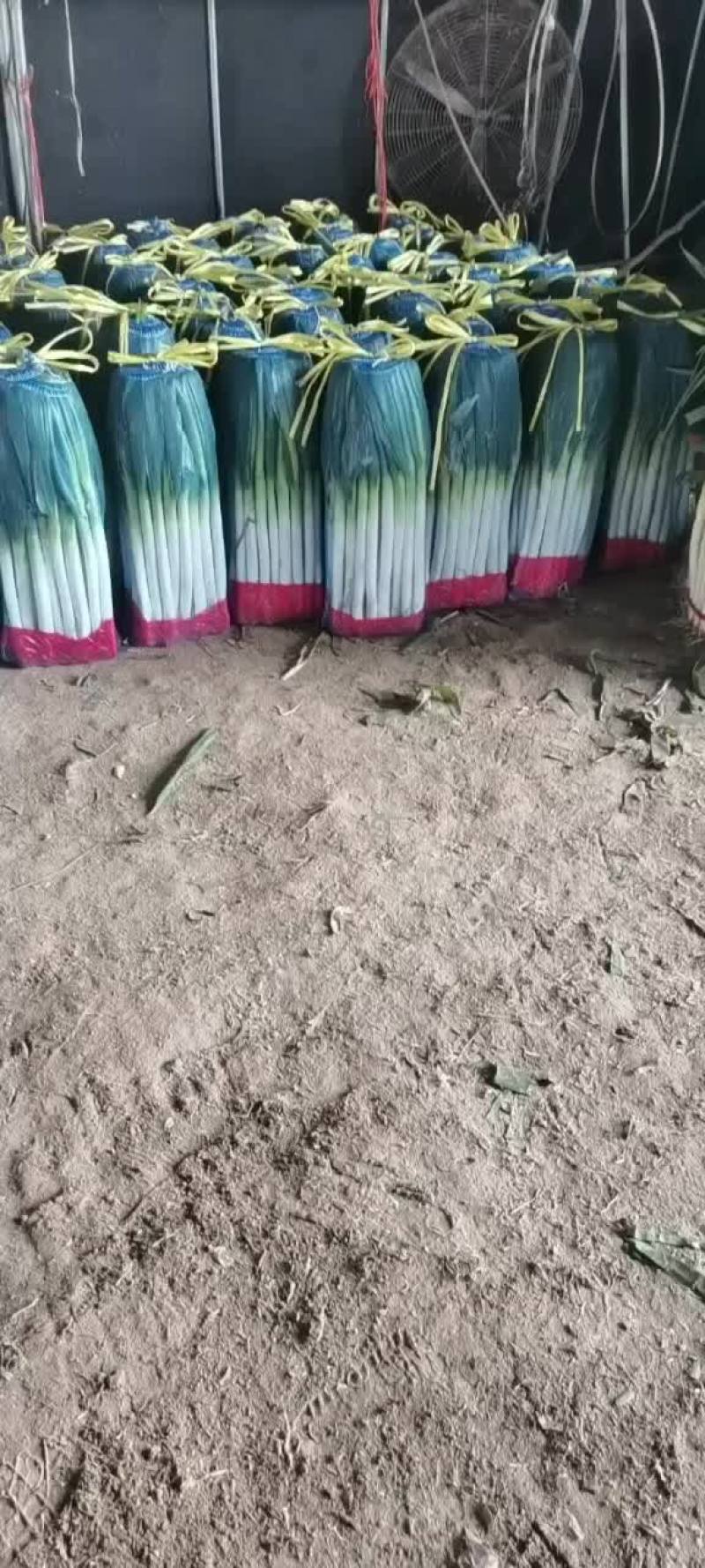 大量有货！
