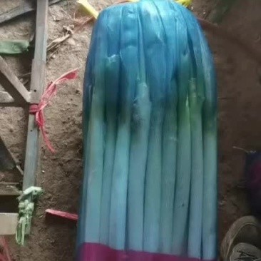大量有货！