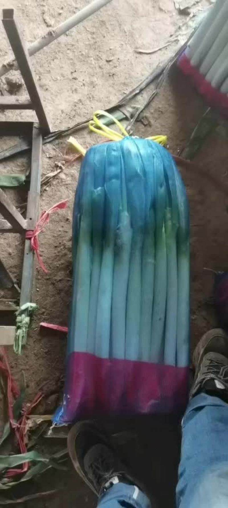 大量有货！