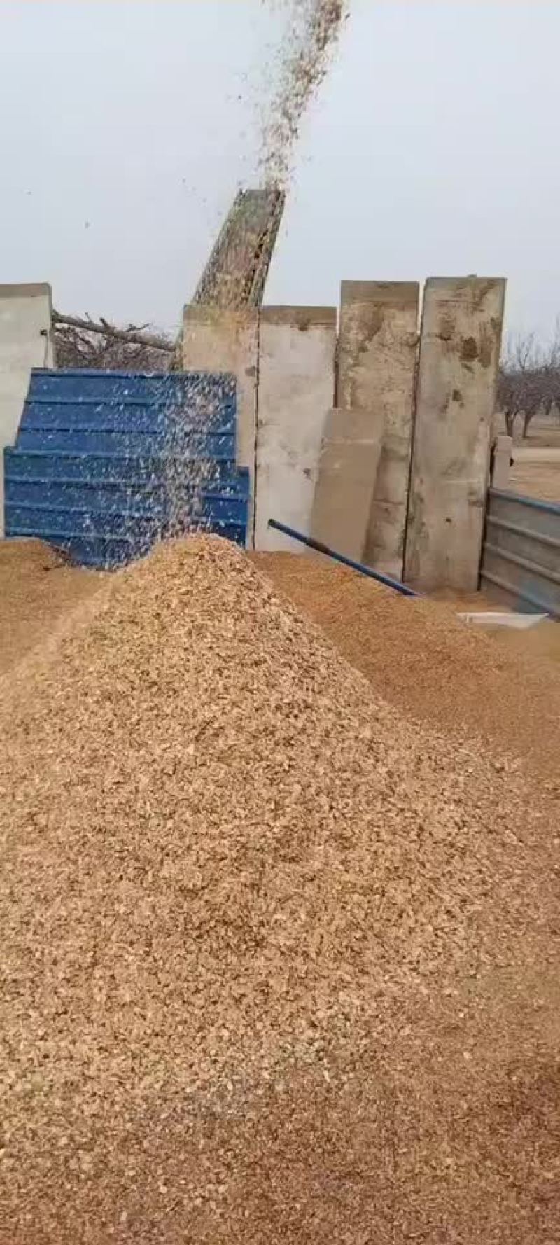 果木树木屑香菇木屑全国发货