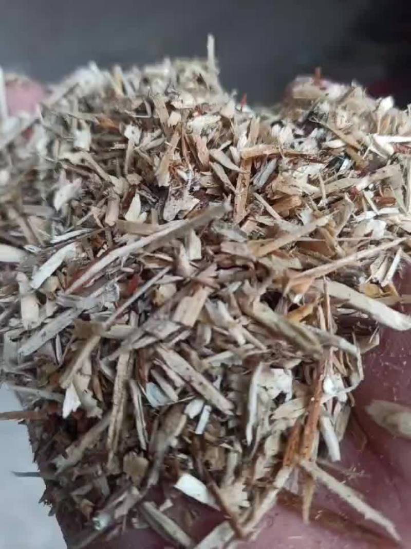 果木树木屑香菇木屑全国发货