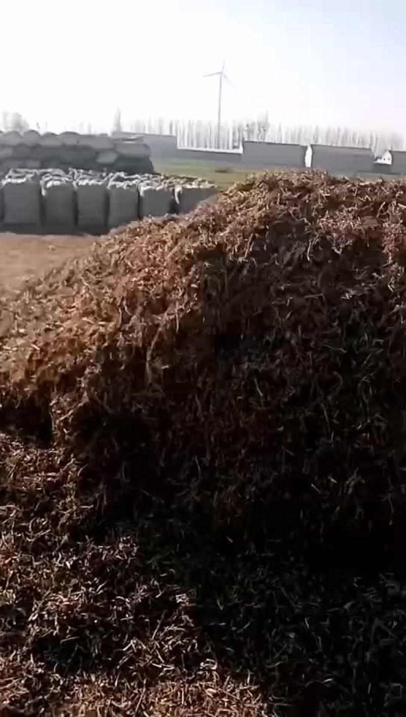 花生秧