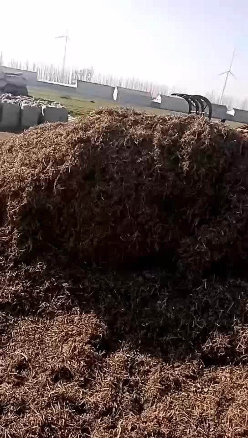 花生秧