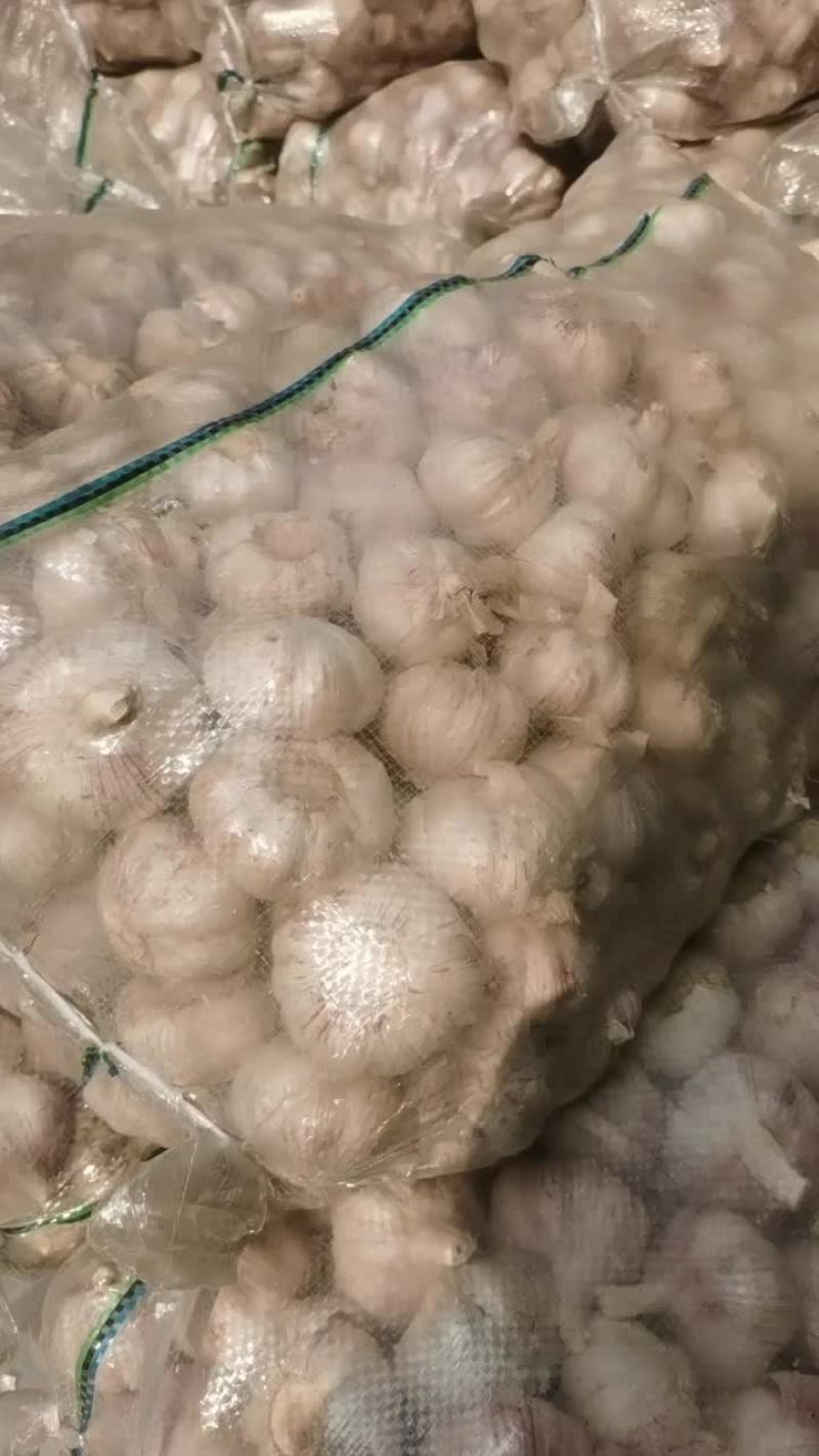 便宜处理3000斤大蒜