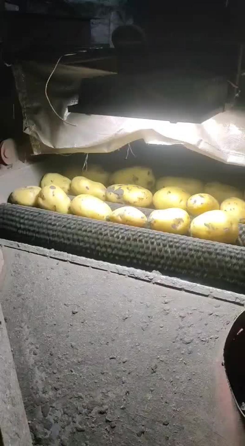 精品微7