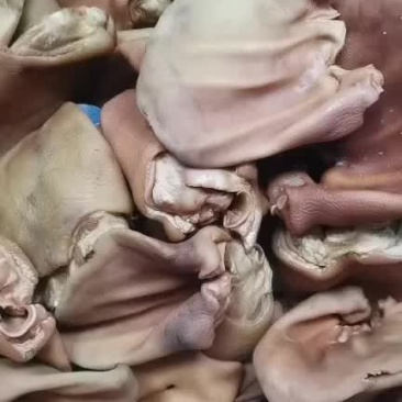 安徽猪耳片无添加干净卫生好材料分量足味道好全国发供应餐饮酒店
