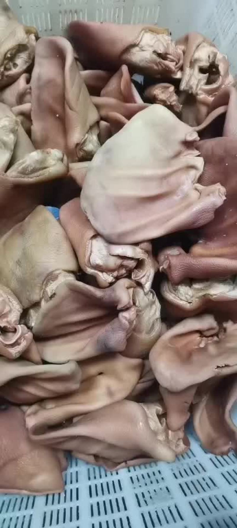安徽猪耳片无添加干净卫生好材料分量足味道好全国发供应餐饮酒店