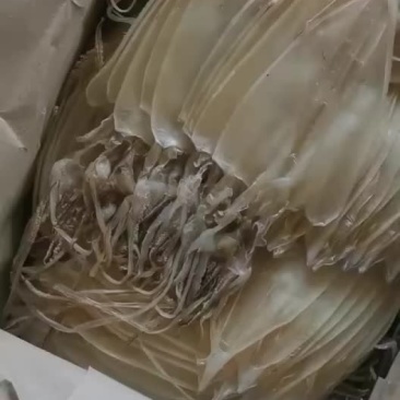 海鲜干货