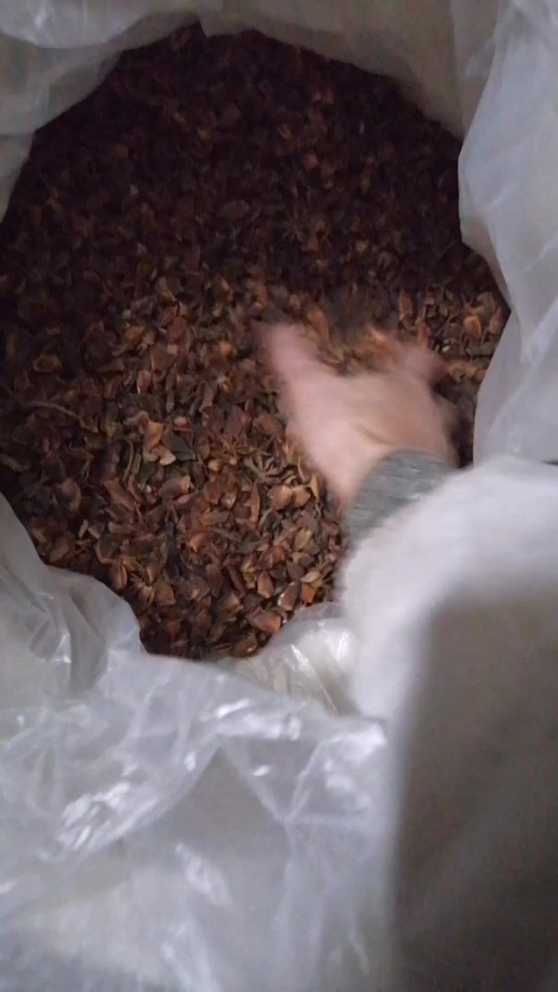 八角碎片