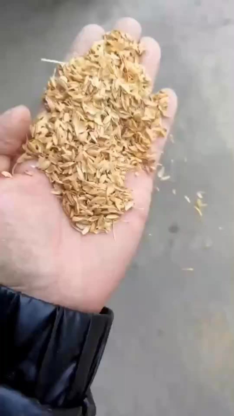 沈阳压缩稻壳，厂家直销，长期供应