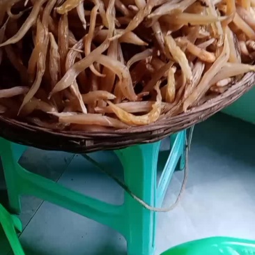 药材天麦冬