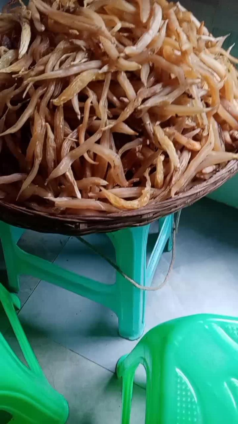 药材天麦冬