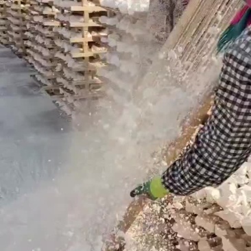 红薯淀粉颗粒